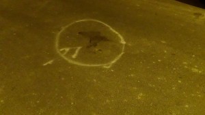 Tracce di sangue sulla strada