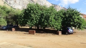 Giardino della memoria, 27 luglio 2015