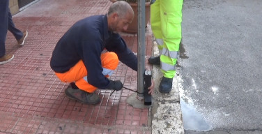 Piazzate trappole per topi in tutto il territorio di Isola delle Femmine