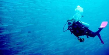 Isola Scuba Fest: tuffati in un mare di meraviglie ad Isola delle Femmine