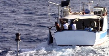 Inseguimento al largo di Isola delle Femmine: fermati dei pescatori di frodo di tonno rosso