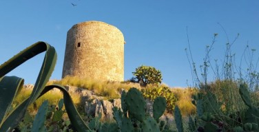 Visita guidata alle torri della costa di Palermo: prima tappa alla Torre in terra di Isola delle Femmine
