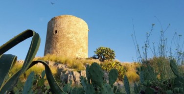 Visita guidata alle torri della costa di Palermo: prima tappa alla Torre in terra di Isola delle Femmine