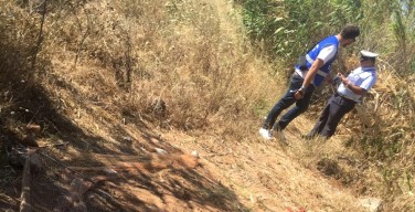 Operazione anti-bracconaggio ad Isola delle Femmine: disinnescata una trappola nel parco Dune (VIDEO)