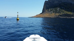 IMG-20170820-WA0009