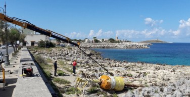 Rimossa la boa arenata sulla scogliera di Isola delle Femmine