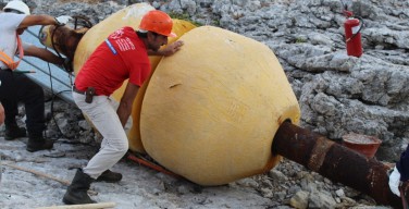 Rimossa la boa spiaggiata sulla costa della riserva naturale di Isola delle Femmine